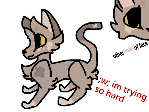 magicwarriorcats ---- Cat D----