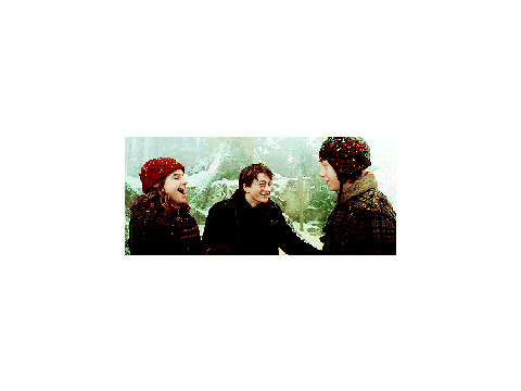 The Golden Trio Gifs