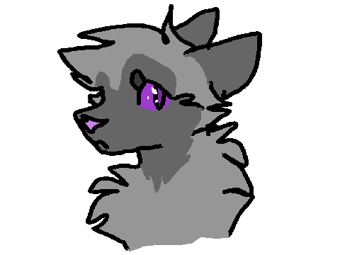 blackstripe