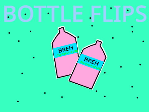 BOTTLE FLIPS remix