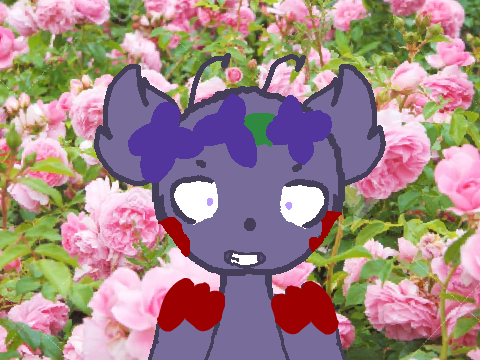 b e n d / ori (?) meme / ft. Velvet
