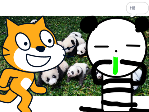 Panda Stuff