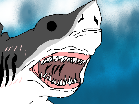 SharkWeek! Sharks need are Help!