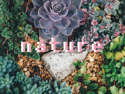 n a t u r e