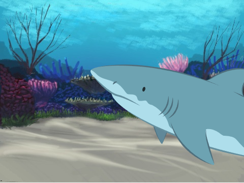Shark