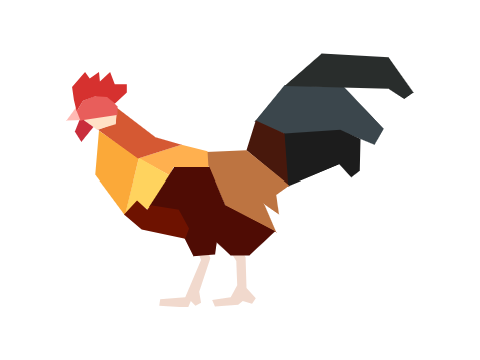 Chicken | Polyart
