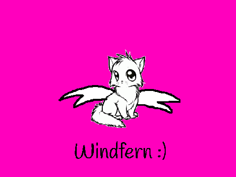Windfern