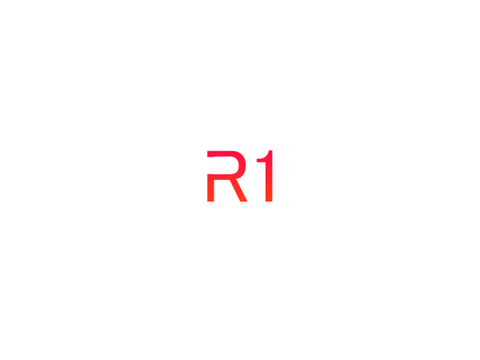 DDVII - R1
