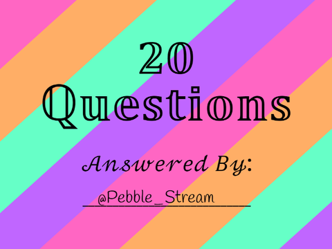 20 Questions Answered 