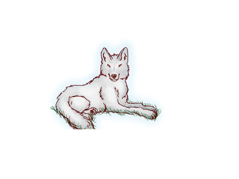 Wolf Dump (with some wildlife extras)