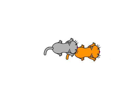 Looks Like Lionblaze Got at the Catmint Again...