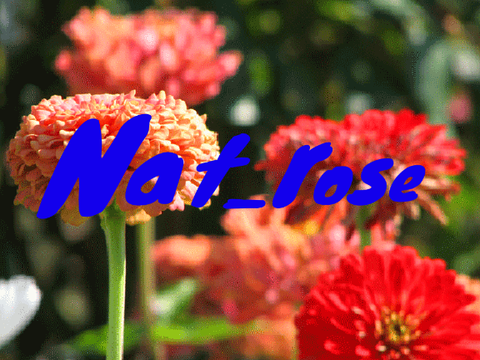 should this be my new intro?