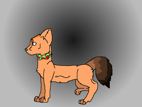 My oc