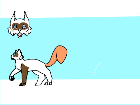 Ref Sheet || BTWs remix