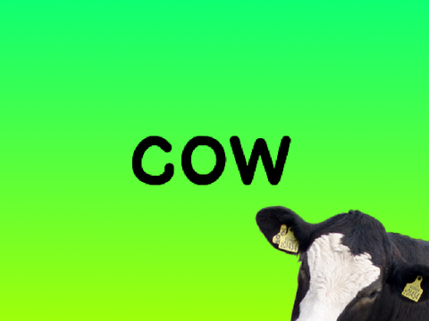 Cow (A meme)
