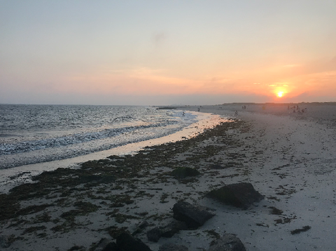 Pictures from the beach :)
