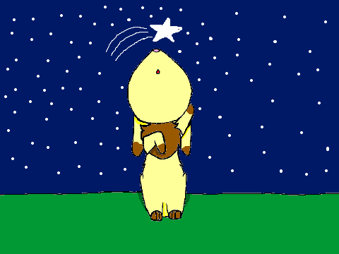 CCE:: Look up at the Stars 