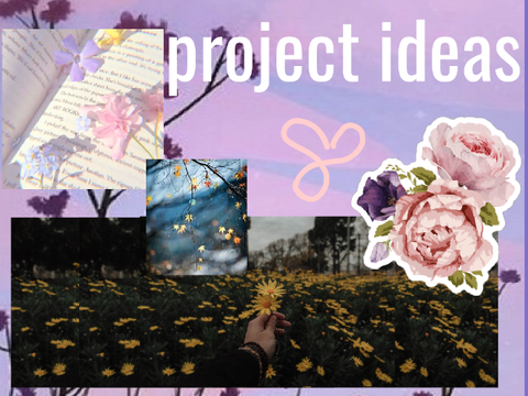 Project Ideas✰