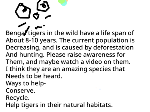endangered Bengal tigers