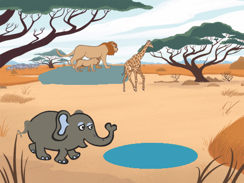 Savane 
