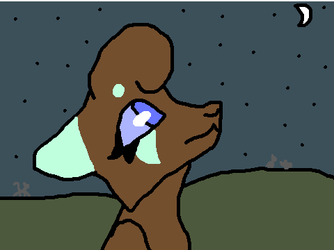 cce