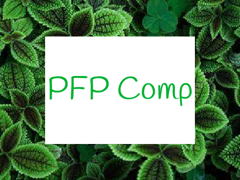 PFP Comp - Open