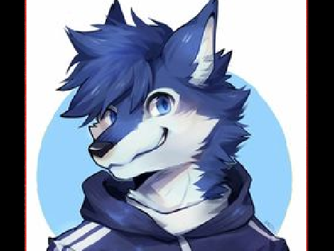 Furry/everyday