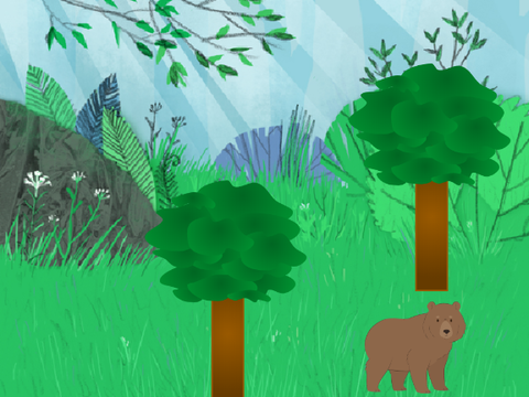 find the bears!