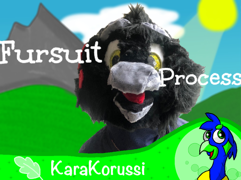 ✦fuяsuít pяσcєss✦