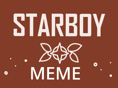 . ★ STARBOY ★ . MEME