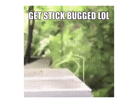 get stick bugged lol