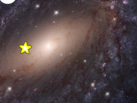 collect the star