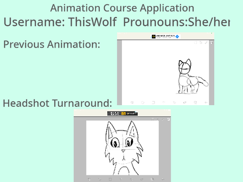 Wolfs application