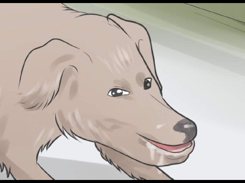 wikihow is not ok