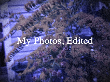 my photos, edited