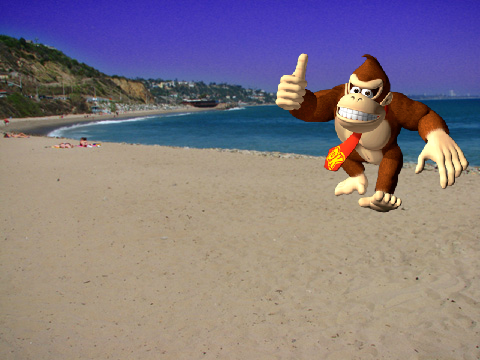 Donkey Kong Library Card