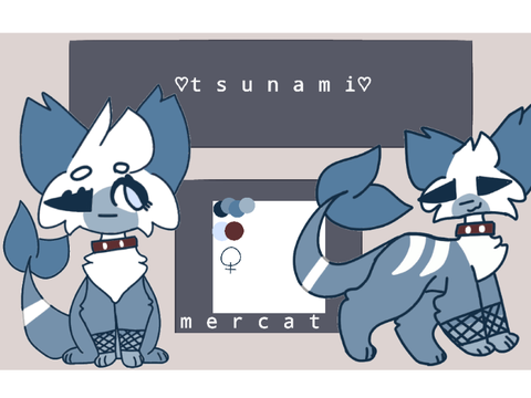 . t s u n a m i . 