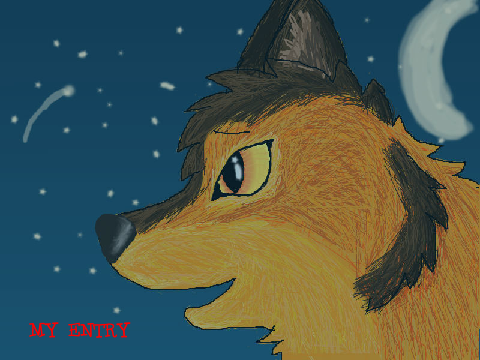~Shooting Star~ (entry)