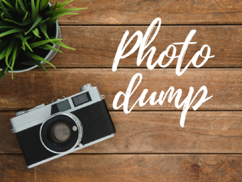 Photo Dump
