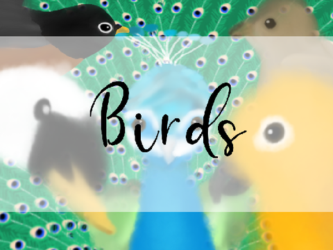 Birds