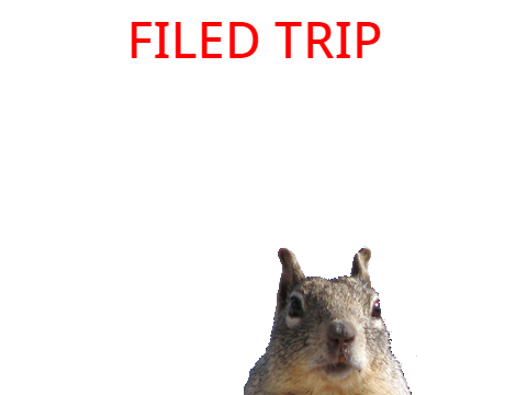 FIELD TRIP