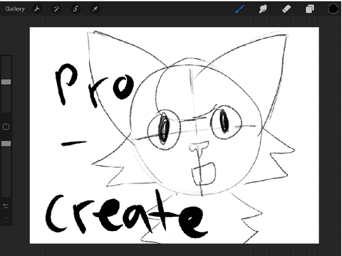 I got Procreate