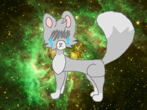 ✧ C ᴏ ᴜ ɴ ᴛ ɪ ɴ ɢ S ʜ ᴇ ᴇ ᴘ // ᴍ ᴇ ᴍ ᴇ ✧ 