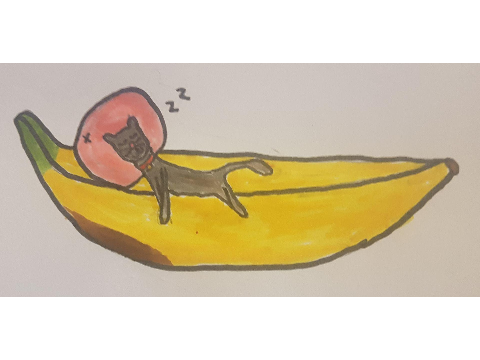 Art contest entry