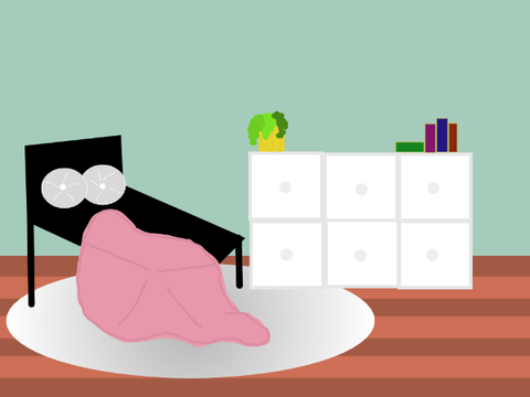 Room Designer for teens #2