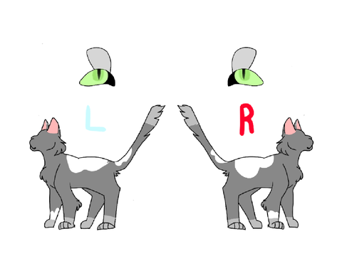 Ref Sheet || Silver