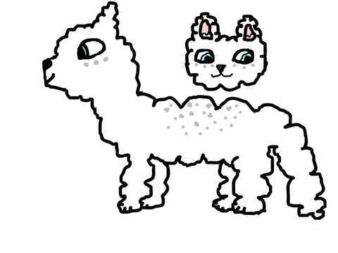 Summerlake Cat B
