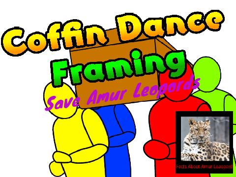  Save Amur Leopards (Coffin Dance)