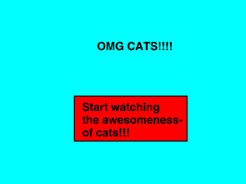 OMG CATS!!!!!!!!