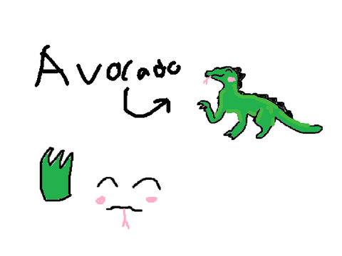 Avocado - REF